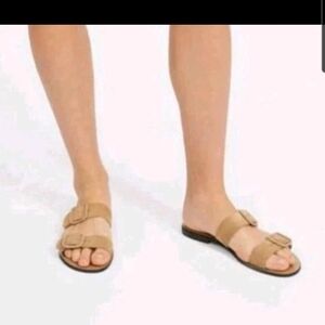 Everlane Italian Leather Suede Modern Buckle Sandal, Sand Brown Tan, 7